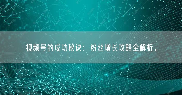 视频号的成功秘诀：粉丝增长攻略全解析。